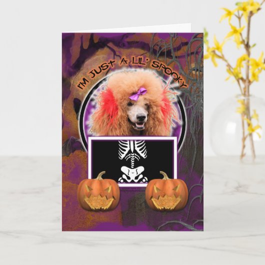 Halloween - Just a Lil Spooky - Poedel - Rood Kaart (Gele Bloem)