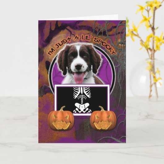 Halloween - Just a Lil Spooky - Springer Spaniel Kaart (Gele Bloem)