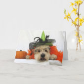 halloween kaart, humor, schattig, heks, pompoen, kaart (Gele Bloem)