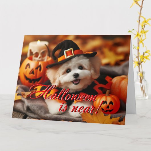 Halloween kaart Maltipoo hond (Gele Bloem)
