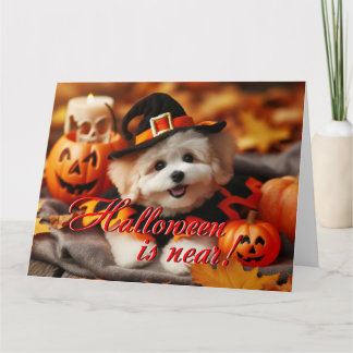 Halloween kaart Maltipoo hond