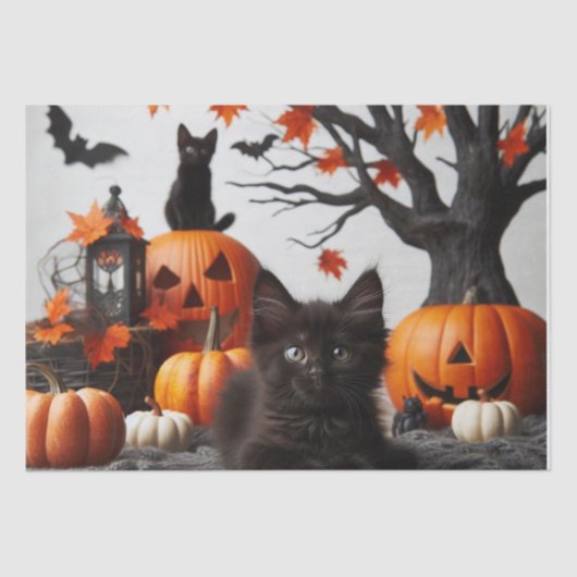 Halloween Kat en Pompoenen Decoupage Tissuepapier (Voorkant)