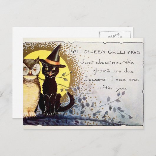  Halloween kat en uil briefkaart (Voorkant / Achterkant)