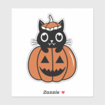 Halloween kat in de pompoen