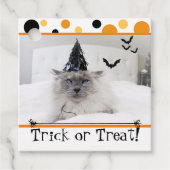 Halloween kat in het Pet van de heks Bedankjes Labels (Voorkant)