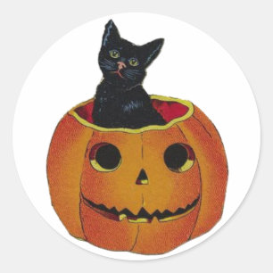  halloween kat in pompoen ronde sticker