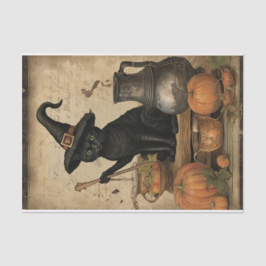Halloween kat met heks Pet pompoen decoupage Tissuepapier (Voorkant)