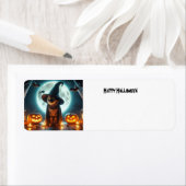 Halloween kat met pompoenen etiket (Insitu)