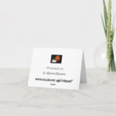 Halloween Kat Note Card Kaart (Achterkant)