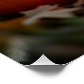 Halloween. Kat Perfect Poster (Hoek)