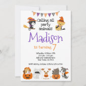 Halloween Katten en pupies Kaart (Voorkant)