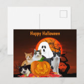 Halloween katten in kerkhof met spook / kattenlief briefkaart (Voorkant / Achterkant)