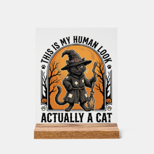 Halloween kattenkostuum Funny Vintage Heksenkat Sh Acryl Bord