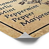 Halloween Kitchen Witchery Poster (Hoek)