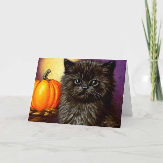  Halloween kitten (Voorkant)