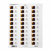  Halloween kitten Etiket (Full Sheet)