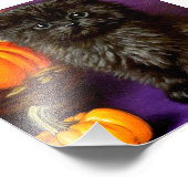 Halloween kitten Foto Afdruk (Hoek)