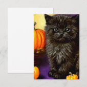  Halloween kitten Informatiekaartje (Voorkant / Achterkant)