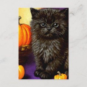 Halloween kitten Informatiekaartje