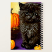  Halloween kitten Notitieboek (Achterkant)