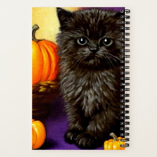 Halloween kitten Notitieboek (Achterkant)