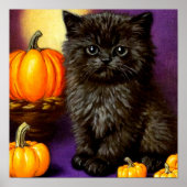  Halloween kitten Poster (Voorkant)