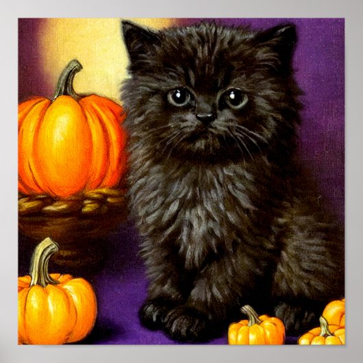  Halloween kitten Poster (Voorkant)