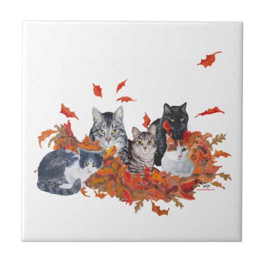 Halloween Kittenkatten Tegeltje (Voorkant)