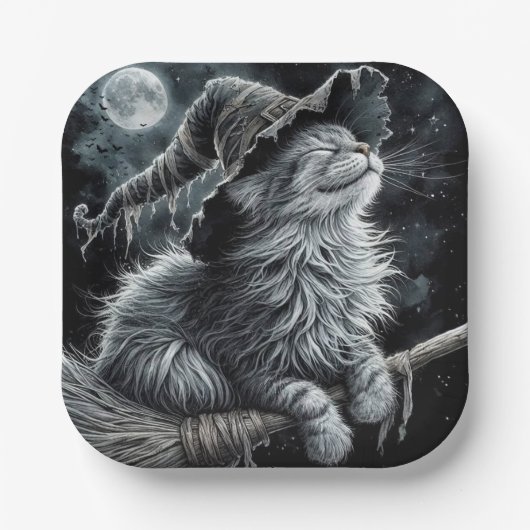 Halloween Kitty On Brromstick Papieren Bordje (Voorkant)