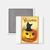 Halloween Kitty zit in Jack O Lantern Magneet (Voorkant / Achterkant)