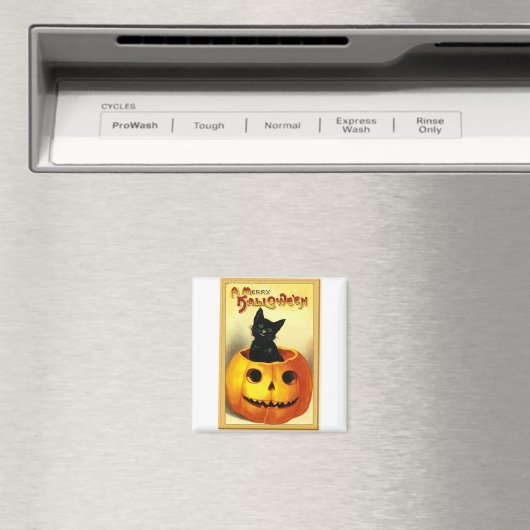 Halloween Kitty zit in Jack O Lantern Magneet (Insitu (Vaatwasser))