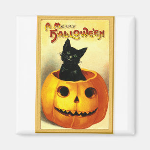 Halloween Kitty zit in Jack O Lantern Magneet