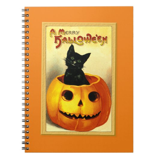 Halloween Kitty zittend in Jack O Lantern Notitieboek (Voorkant)