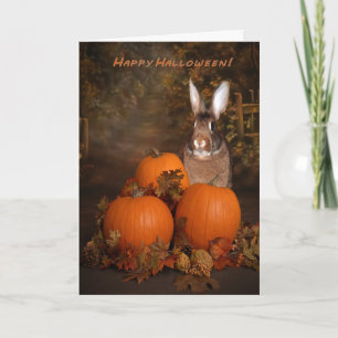 Halloween Konijn in een Pompoenveld Kaart