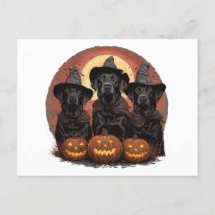 Halloween Labrador Retriever Honden Heksenhonden P Briefkaart