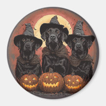 Halloween Labrador Retriever Honden Heksenhonden P