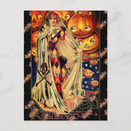 Halloween  Lady Jack O Lantern Zwart Sinaasappel Briefkaart (Voorkant)