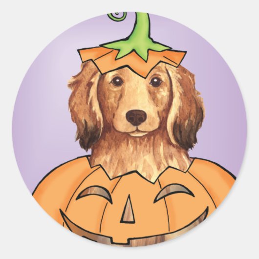 Halloween Longhaire Dachshund Ronde Sticker (Voorkant)