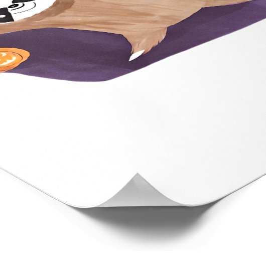 Halloween luiaard, pompoen, vleermuis, spin, spinn poster (Hoek)