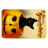 Halloween Magnet met zwarte kat en pompoen Magneet (Horizontaal)