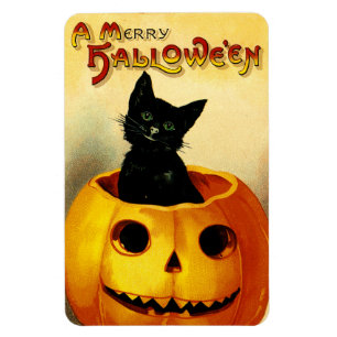  Halloween Magnet met zwarte kat en pompoen Magneet