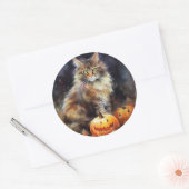 Halloween Maine Coon Cat with Pumpkins Scary Ronde Sticker (Envelop)