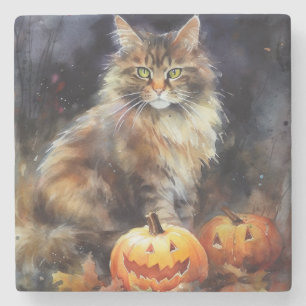 Halloween Maine Coon Cat with Pumpkins Scary Stenen Onderzetter
