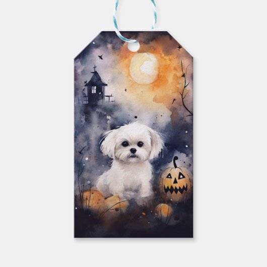 Halloween Maltese met pompoenen eng Cadeaulabel (Voorkant)