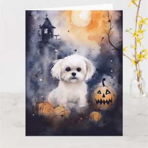 Halloween Maltese met pompoenen eng Kaart