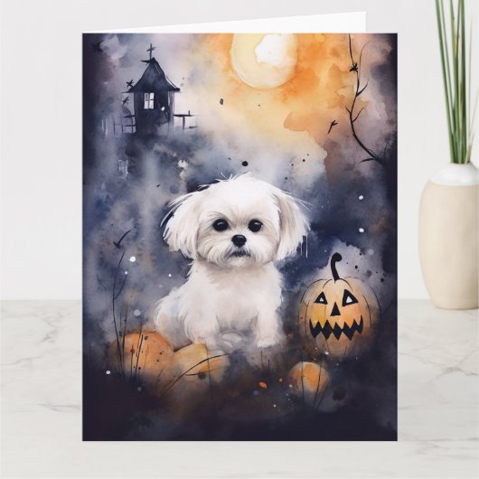 Halloween Maltese met pompoenen eng Kaart (Voorkant)