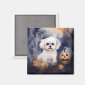 Halloween Maltese met pompoenen eng Magneet (Voorkant / Achterkant)