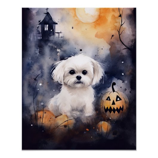 Halloween Maltese met pompoenen eng Perfect Poster (Voorkant)