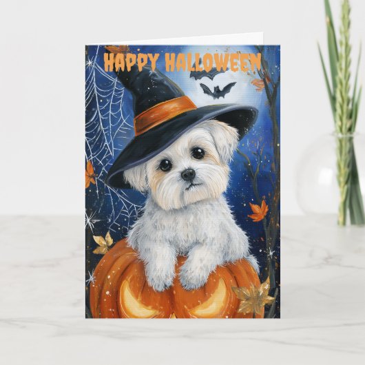 Halloween Maltezer Hond Feestdagen Kaart (Voorkant)
