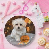 Halloween, Maltezer Pup, Papieren Bordje (Feest)